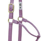 Weaver Equine Nylon Horse Halter, Triple-Ply Cheek Design, Original Non Adjustable Halters for Horses, Equine Tack,Average Size, Black