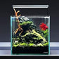 LANDEN Dark SEIRYU Stones Natural Rocks (3~11 inches,11pcs) x2 40Lx 2 Cases Total 80L 37lbs for Aquarium, Paludarium, Terrariums, Landscaping Rocks, Decorative Aquarium Rocks