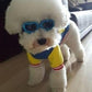 Outdoor Dog Sunglasses Anti-UV Eye Protection Goggles Waterproof Windproof Anti-Fog for Small Pet Puppy Cat (Blue)