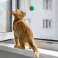 BESPORTBLE 10Pcs Catnip Balls Cat Catnip Ball Natural Licking Edible Wall Stick on Cat Licker Toy Pet Lollipop
