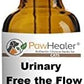Cat & Small Dogs - Bladder Remedy for Stones & Crystals: 2 fl oz (59 ml) - Urinary Free The Flow - Basic - Made in USA - Works Great for Over 15 Years in The Herbal Business. …