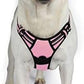 rabbitgoo Dog Harness No Pull with 2 Leash Clips, Adjustable Soft Padded, Reflective Oxford No Choke Pet Vest with Easy Control Handle for Large Dogs, Pink, XL