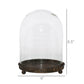 Mirabelle Glass Vitrine Cloche with Rustic Metal Base