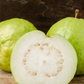 XL Guava Bundle: 'Ruby Supreme' & 'Kilo' Guava Trees