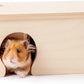 Niteangel Birch Chamber-Maze Hamster Hideout - Small Pets Woodland House Habitats Decor for Hamster Mice Gerbils Mouse