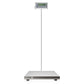 SIKE EPS660 Bariatric Floor Scale with Extra-Large Platform, SIKE Digital Postal Shipping Scale, 660 x 0.2lb(300kg x 0.1kg), 22" x 22" Platform, Stainless Steel, Heavy Duty