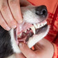 Pet Dental Spray, As Seen on TV, Eliminates Plaque & Tartar, Helps with Plaque and Tartar and Provides Instant Fresh Breath - Includes 3 Months' Supply of Peppermint Spray, 1fl. OZ (30ML)