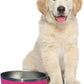 Bright Pink Dog Bowl for Small Dogs, 32 oz Non Slip Stainless Steel Pet Bowl, Vacuum Insulated Pet Bowl That Keeps Water Cool (32 oz, Bright Pink)