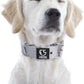 TSPRO Tactical Dog Collar 1.5 Inch Wide Thick Dog Collars with Heavy Duty Metal Buckle, Durable, Strong, Adjustable for Medium to Large Dogs (Silver M)
