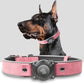 AirTag Dog Collar - Leather Dog Collar with Air Tag Holder | IPX8 Waterproof, Reflective, High - End, Adjustable Soft Padded | Dog GPS Tracker Collars Fit for Medium Large Dogs (Rose, XL)