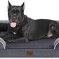 Comfort Expression Waterproof Orthopedic Foam Dog Beds, XXL Orthopedic Dog Beds for Extra Large Dogs, Washable Pet Sofa Bed with Removable Cover & Non-Slip Bottom(XX-Large,Dark Grey)