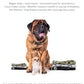 Pet Parents® Washable Dog Diapers (3pack) + Extendrs® of Durable Doggie Diapers, Premium Dog Diapers Female & Male (X-Large, Camo)