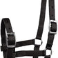 HORZE Adjustable Nylon Horse Halter for Foals, Colts, Fillies, Mini Horse Halter | Comfortable Small Horse Halter with Sturdy Buckles - Black - Foal