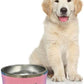 Dog Bowl, 64 oz Light Pink Stainless Steel Pet Bowl, Vacuum Insulated to Keep Water Cool, Non-Slip, Stylish and Functional, Easy to Clean Pet Bowl