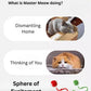 Indoor Cat Interactive Toy 360-degree Automatic Rolling Toy with Floor Flashing and Random Rolling for Cats and Dogs. Continuous Excitement, Fun and Stimulation for Your Cats and Dogs (Green)