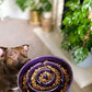 LE TAUCI Dog Bowls Slow Feeder Ceramic, 1.5 Cup Slow Feeding Bowl for Small and Medium Breed, Puzzle Dog Food Bowl for Fast Eater, Maze Purple