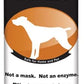 Thornell Dog Odor-Off Pet Odor Eliminator Soaker Bottle – 16 oz Ready to Use Dog Carpet Cleaner Soaker – Dog Urine Carpet Cleaner for Home, Glandular Secretions, Feces Odors on Carpet, Cages, & More