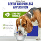 Colloidal Silver for Dogs & Cat Wound Care, Immune Support & Skin Solution - All Pet Health Care for Itch, Sores, Wounds, Hotspots & More with Syringe (32 oz)