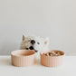 Waggo Ripple Ceramic Dog Bowl for Medium and Large Breeds - Modern with Matte Finish, Heavyweight Durable Pet Food and Water Dish Crock, Dishwasher Safe(Medium, Rose)