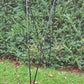 4 Stable Sticks® Essential 4 Points Bipod Shooting Sticks - Lightweight Aluminium, Extrem Stability for Hunting and Shooting, Foldable and transportable
