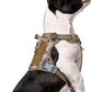 BUMBIN Tactical Dog Harness for Small Dogs No Pull, Famous TIK Tok No Pull Puppy Harness, Fit Smart Reflective Pet Walking Harness for Training, Adjustable Dog Vest Harness with Handle Desert Camo XS