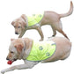 Dog Reflective Vest - Comfortable Jacket Safety Hunting, High Visibility for Dogs with Elastic Straps and Clasp Closure- Orange, X-Small