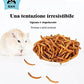 Food for Hamsters, Hedgehogs, Lizards, Frogs, Birds, Hedgehogs, Snacks, Nutritious, high Protein, Cooked breadworms, Small Animal Food