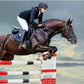 ArenaGear Show Jump Timer (RM-510)
