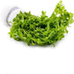 Live Aquarium Stem Plants - Freshwater Aquatic Plant for Fish Tanks, Aquascaping - (Pearl Weed Hemianthus Micranthemoides, 1 Bunch)