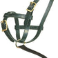 Schneiders Premier Leather Foal Halter for Horses - Newborn | Double Stitched Harness Leather | Soft Fit for Sucklings | Brass-Plated Hardware | Grab Strap for Leading