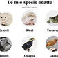 Food for Hamsters, Hedgehogs, Lizards, Frogs, Birds, Hedgehogs, Snacks, Nutritious, high Protein, Cooked breadworms, Small Animal Food