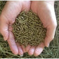 Small Pet Select Guinea Pig Food Pellets, 20 Lb.
