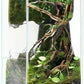 Desktop Glass Plant Terrarium with Grow Light(L7.8 W7.8 H14), for Succulent, Moss, Miniature Gardening Landscape, Betta Fish Tank, Indoor Plant Growth, Office Home Decoration (TimeControlled)