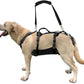 Coodeo Dog Lift Harness, Support & Recovery Sling, Pet Rehabilitation Lifts Vest Adjustable Breathable Straps for Old, Disabled, Joint Injuries, Arthritis, Paralysis Dogs Walk (Black,XL)