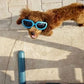 Outdoor Dog Sunglasses Anti-UV Eye Protection Goggles Waterproof Windproof Anti-Fog for Small Pet Puppy Cat (Blue)