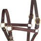 Leather Mini or Suckling Foal Size Horse Halter | Brown Leather with Solid Brass Hardware | Adjustable Chin, Double Stitched, Double Buckle Crown.