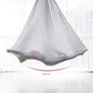 F.Life Aerial Silk Yoga Hammock & Swing for yoga Inversion,Strength training,starter hardware kit