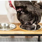 Mango Wood Dog Bowl Stand - Elevated Pet Feeder with 2 Stainless Steel Bowls - Raised Food and Water Dish Set for Dogs and Cats, Available in 4 Sizes, Pet Dining Station, Large/48oz