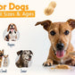 BUDDY BUDDER 6 Pack Mixed Flavor Squeeze Packs, 100% Natural Dog Peanut Butter, Healthy Peanut Butter Dog Treats, Made in USA, (4oz Packs)