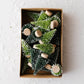 Flocked Mini Green Bottle Brush Trees (Set of 24)