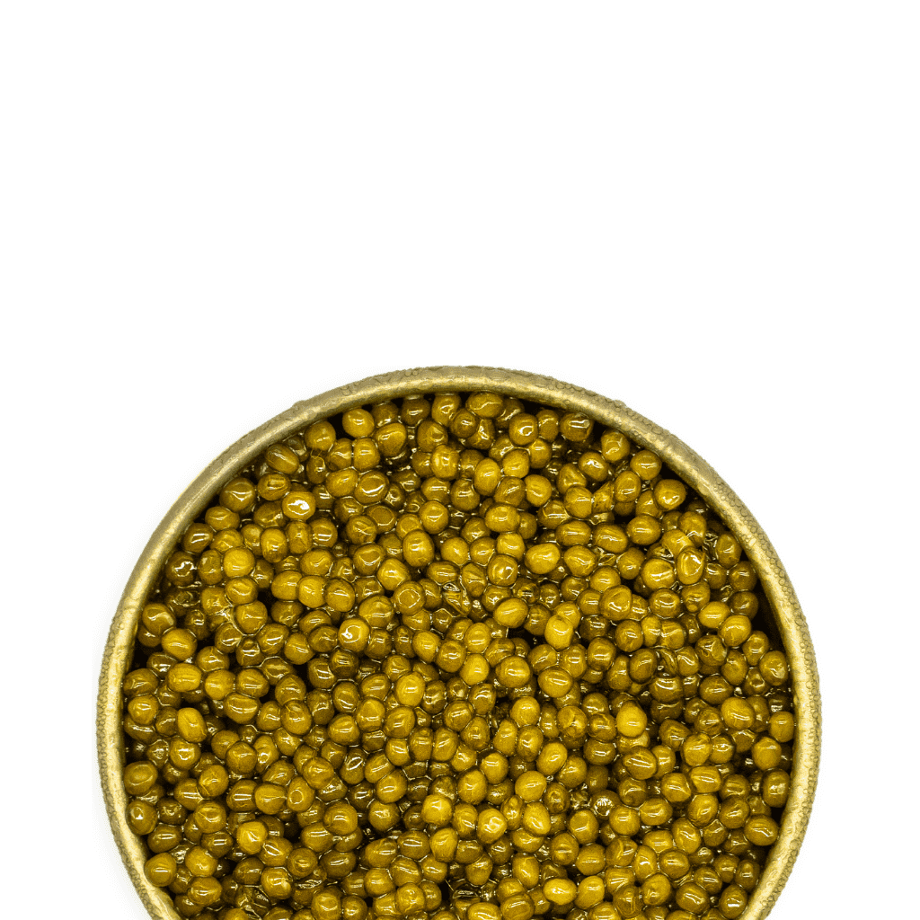 Kaluga Gold Caviar