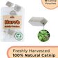 Interactive Catnip Bird Toy Set (5 Replacement Catnip Birds)