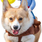 Deluxe Cowboy Rider Pet Costume - Funny Dog Halloween Outfit with Doll and Hat, Adjustable Knight Style Costume for Labs, German Shepherds, and Golden Retrievers, and More (L)