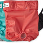 Pet Parents® Washable Dog Diapers (3pack) + Extendrs® of Durable Doggie Diapers, Premium Dog Diapers Female (X-Small, Southern Belle)