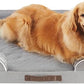 Friends Forever Orthopedic Dog Bed for Extra Large Dogs, Waterproof Memory Foam Dog Sofa Bed XL with Removable Washable Cover, Ally Grey, 42x32x7