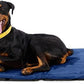K9 Ballistics Tough Ripstop Dog Crate Pad - Durable & Machine Washable with Non-Skid Bottom and 120-Day Warranty, Fits 48" Wire Crates - X-Large, Blue Quartz