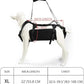Coodeo Dog Lift Harness, Support & Recovery Sling, Pet Rehabilitation Lifts Vest Adjustable Breathable Straps for Old, Disabled, Joint Injuries, Arthritis, Paralysis Dogs Walk (Black,XL)