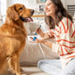 Pet Toothbrushing Assistant for Puppies' Dogs and Cats Allows You to Brush Your pet’s Teeth Without Constantly Worrying About Getting Bitten. (Orange, Medium)