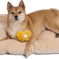 FUNNY FUZZY 2 in 1 Dog Crate Bed Pad for Large Sized Dog, Washable Reversible Pet Soft Mats,Durable Fluffy Kennel Mattress,Indoor Cats, 35" × 23", Beige