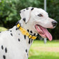 JSXD AirTag Dog Collar, Night Reflective Nylon Dog Collar for Small Medium Large Dogs,Lockable Quick Release Buckle,Padded Breathable Pet Collar with AirTag Holder (Yellow, Small)